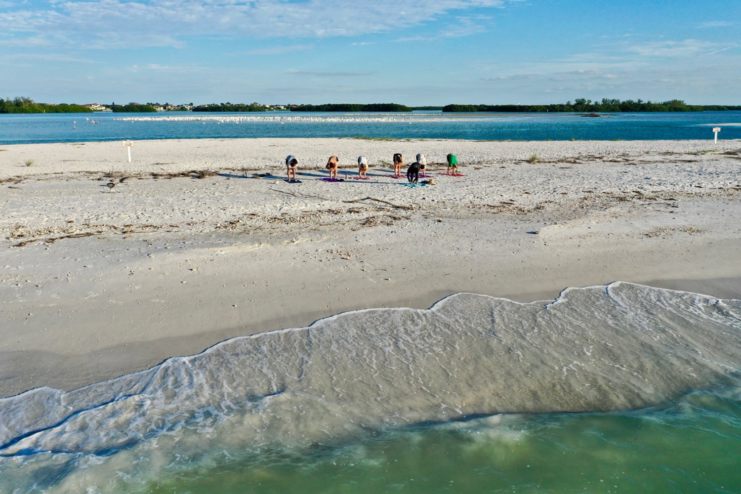 People doing yoga on a sandy beach near calm blue water under a clear sky.