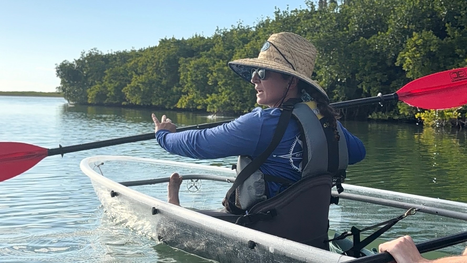 Person kayaking on clear water, wearing a straw hat and blue shirt, near green mangroves.