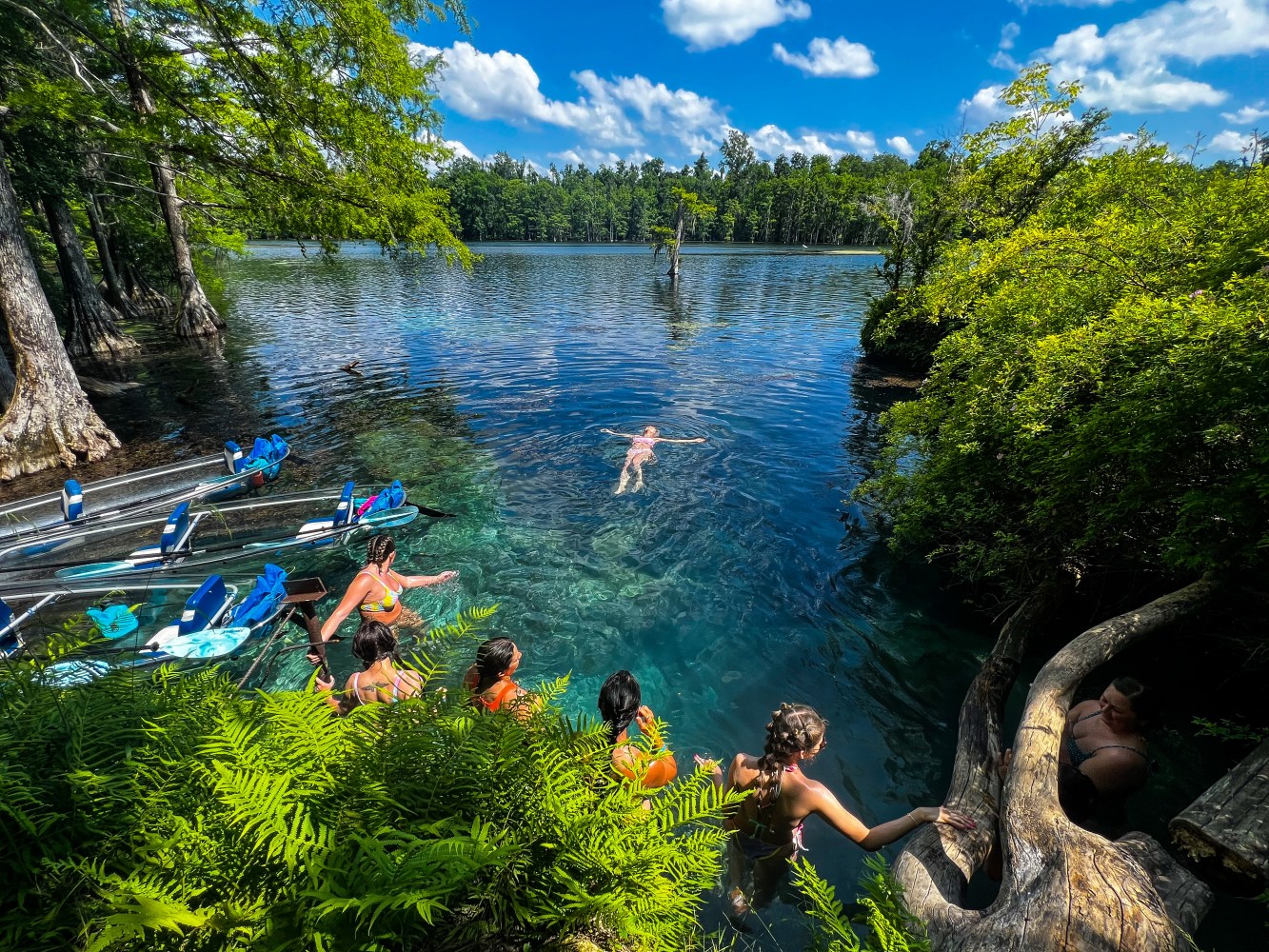 People swimming and relaxing by a clear, blue spring surrounded by trees and greenery.