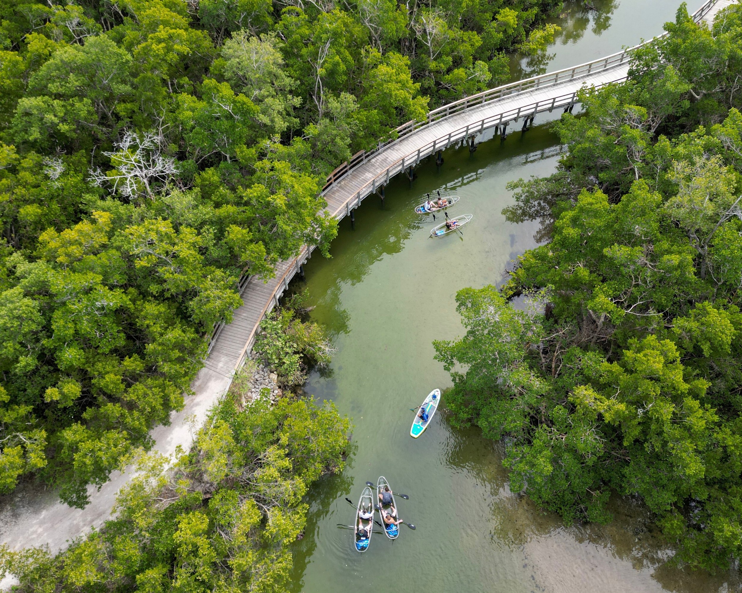 Kayakers paddle under a wooden bridge surrounded by lush green trees.
