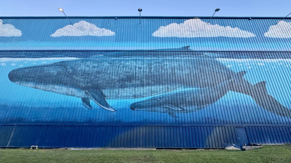 Large mural of two whales swimming underwater on a blue corrugated wall with clouds above.