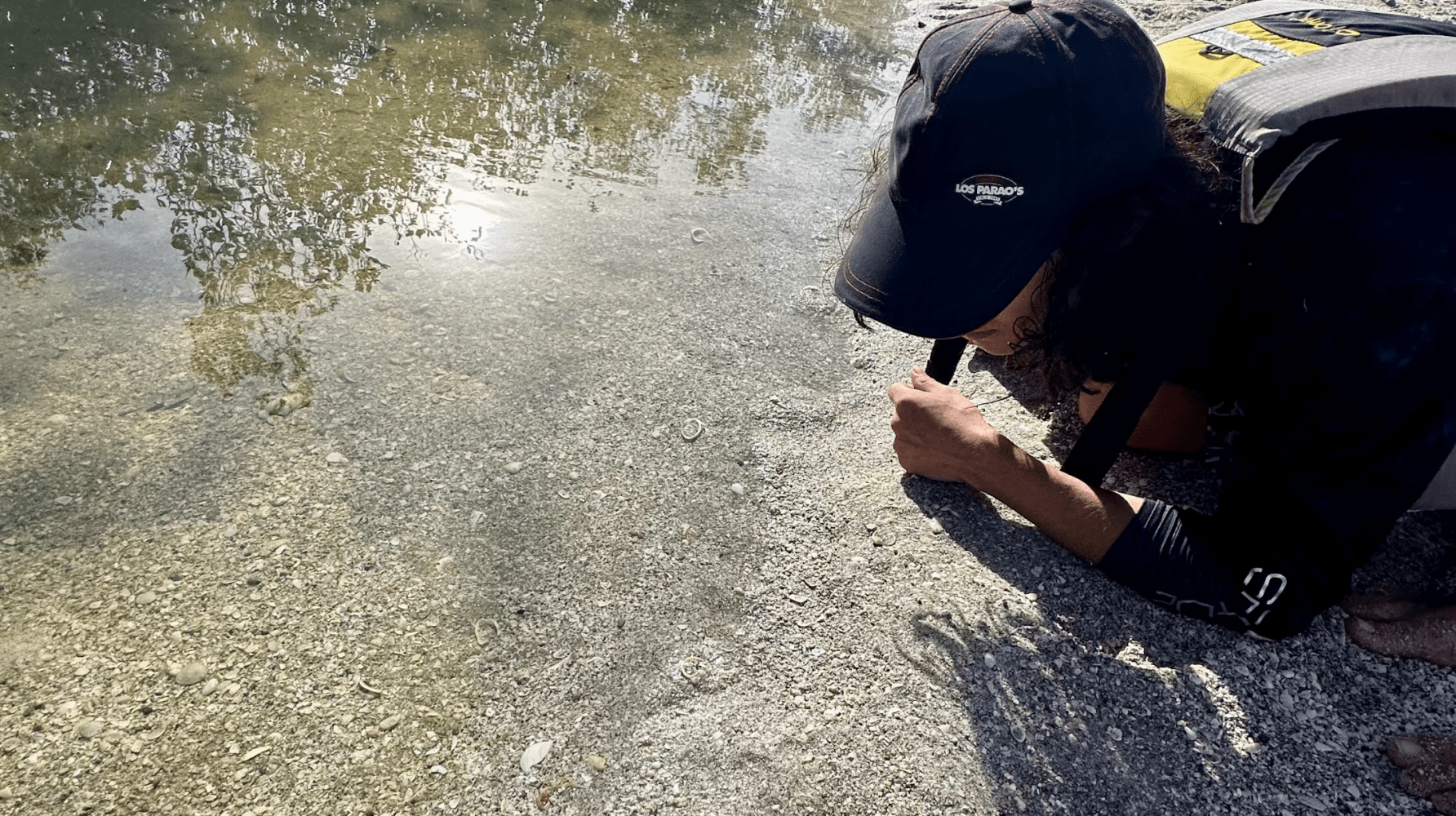 Person with cap examining pebbles near a shallow water body edge.
