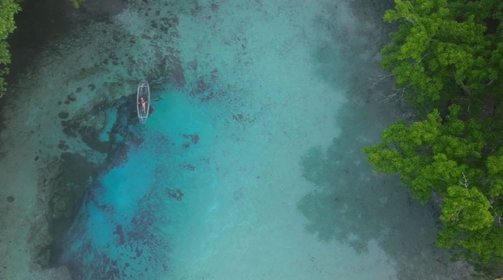 Aerial view of a clear kayak in azure water near lush green trees.