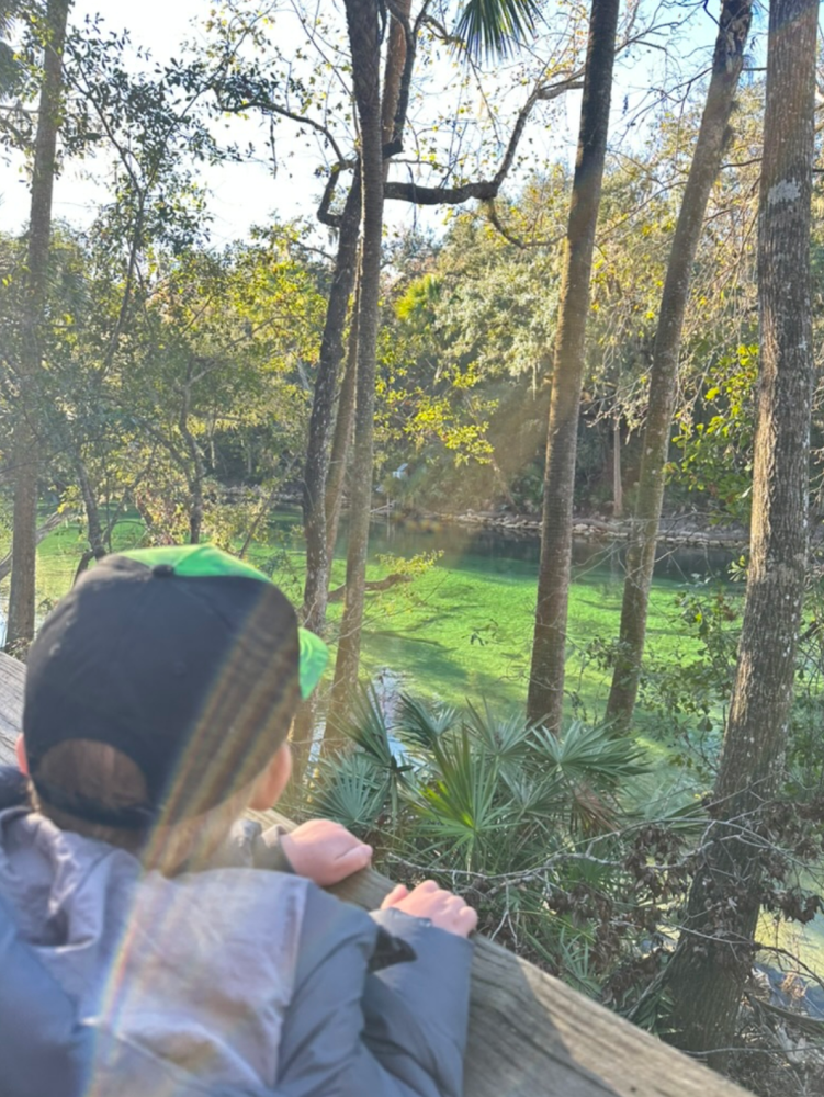 Child in a cap looking over wooden railing at a forest and grassy area.