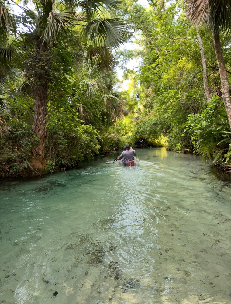 Person kayaking through a narrow, clear waterway surrounded by lush green foliage.