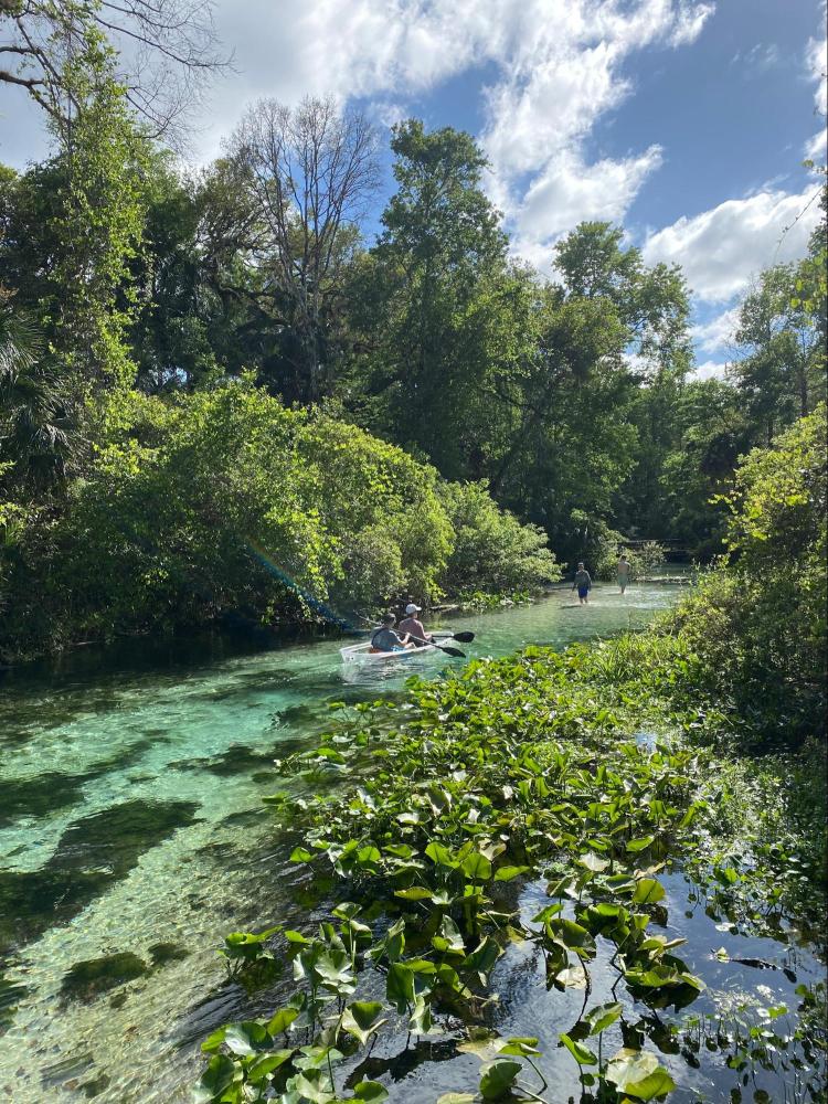 Two people kayaking on a clear river surrounded by lush green trees and plants under a blue sky.