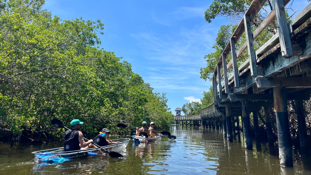 Three people kayaking on a narrow, calm waterway surrounded by greenery and a wooden boardwalk.