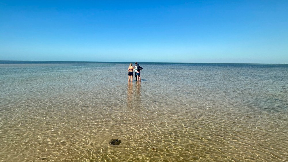 Two people standing in shallow, clear coastal water beneath a bright blue sky.