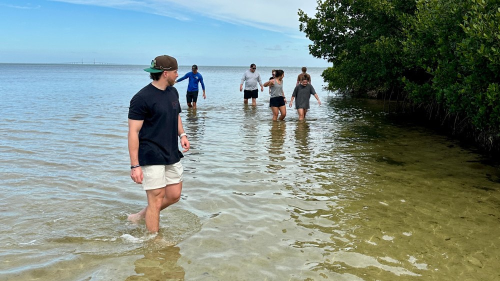 Group of people wading through shallow water near mangrove trees on a sunny day.