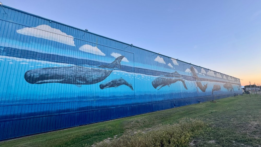 Large mural of whales and clouds on a blue warehouse wall at sunset.