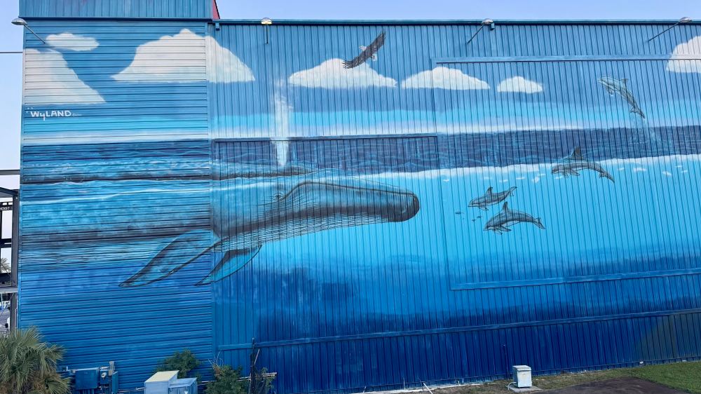 Mural of ocean scene with whale, dolphins, and birds on a blue metal building wall.