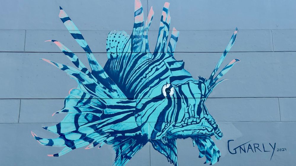 Mural of a blue striped lionfish on a wall signed 'Gnarly 2021'.
