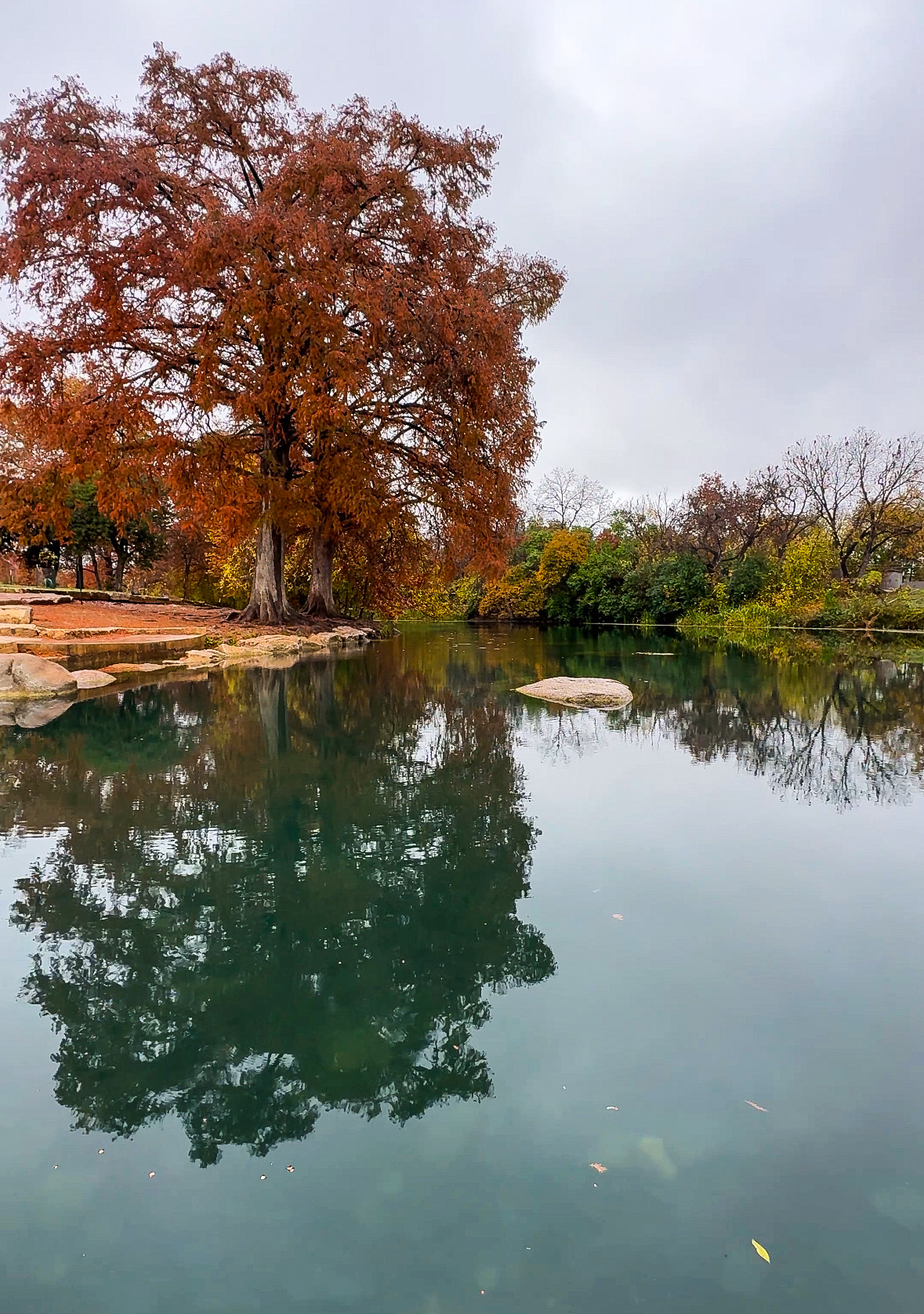 Autumn tree with orange leaves reflected in a calm lake under a gray sky.