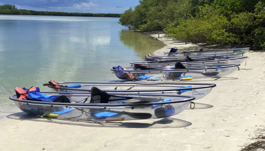 Six clear kayaks with gear on a sandy shore by calm water and greenery.