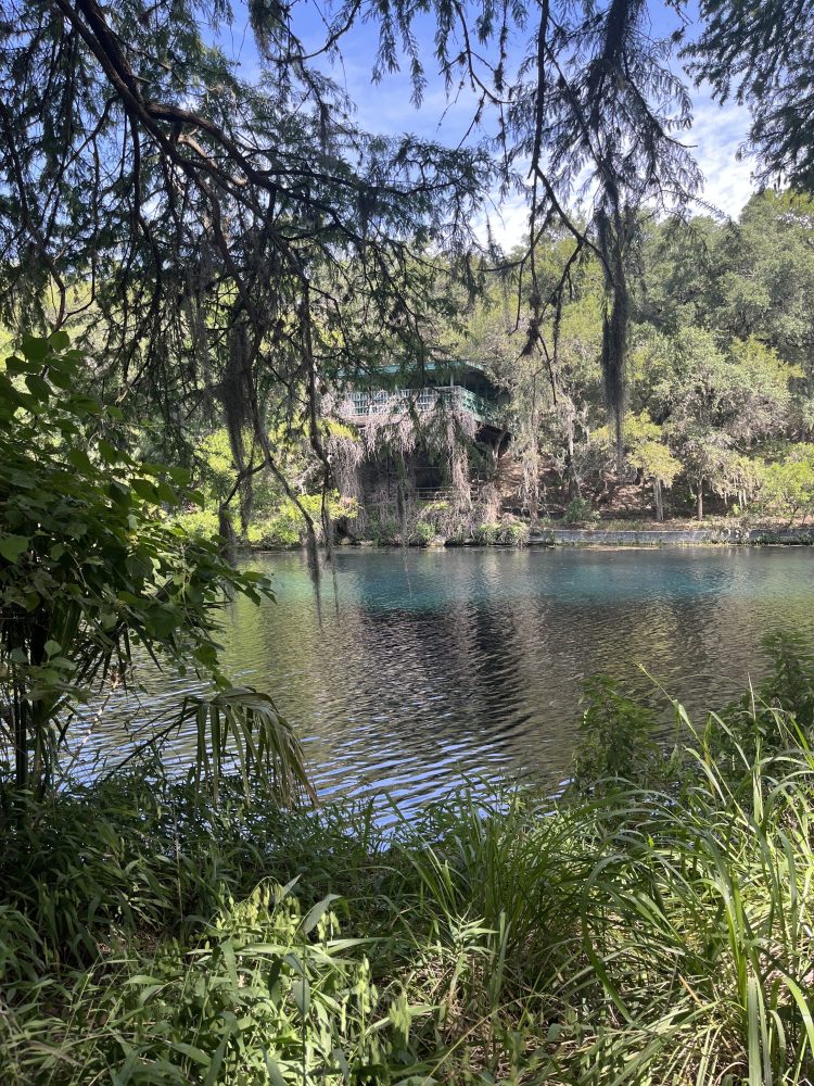 Lush greenery surrounds a tranquil lake with a wooden structure in the background under a clear blue sky.