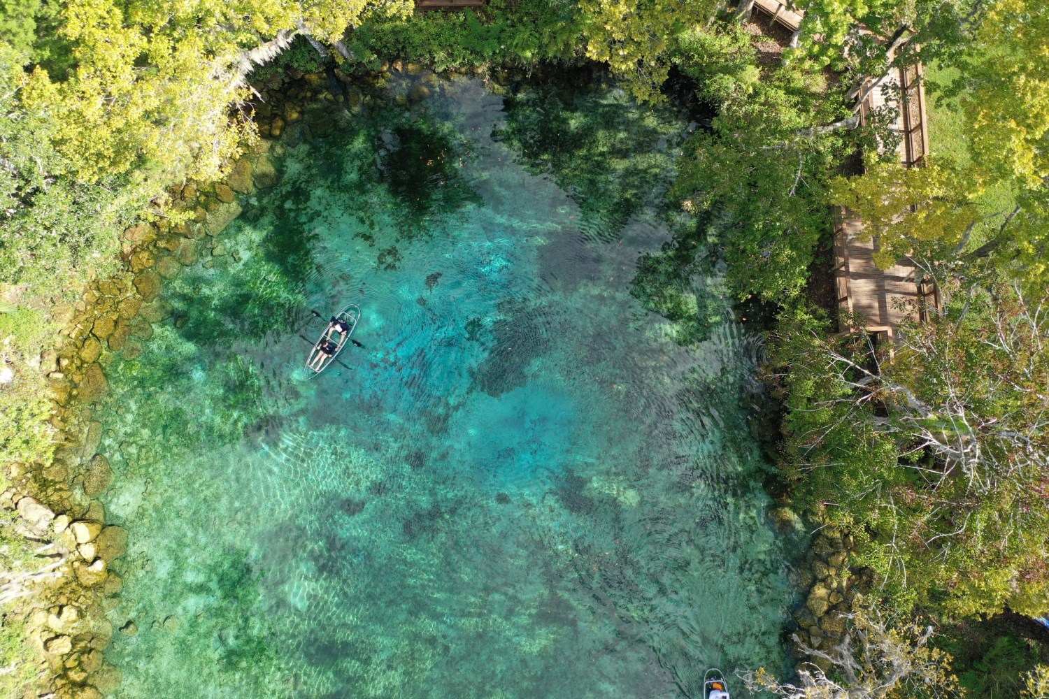 Aerial view of a turquoise water spring surrounded by trees with a person kayaking.
