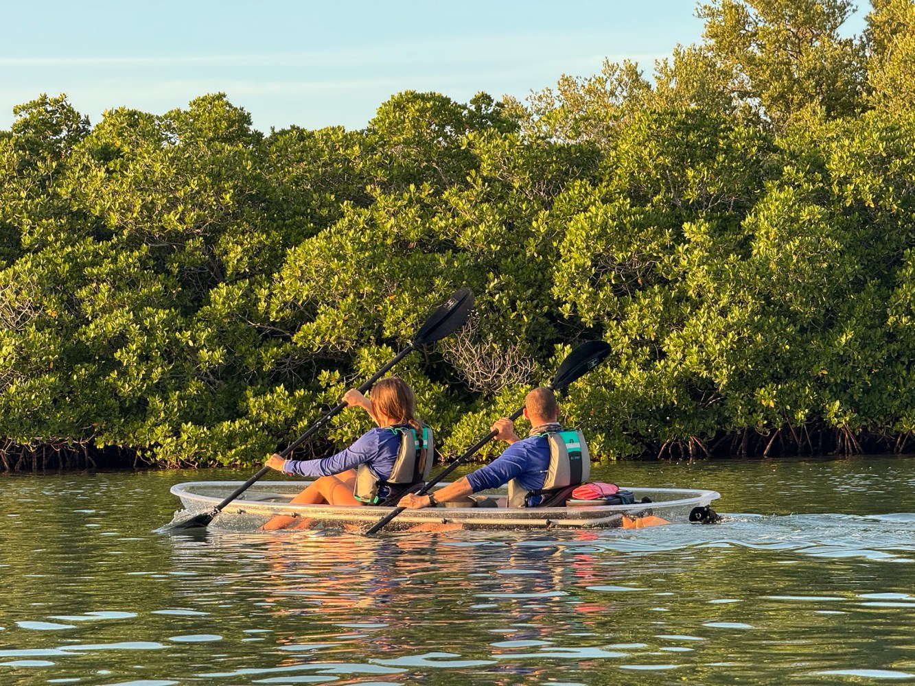 Two people kayaking in clear water near dense green mangroves.