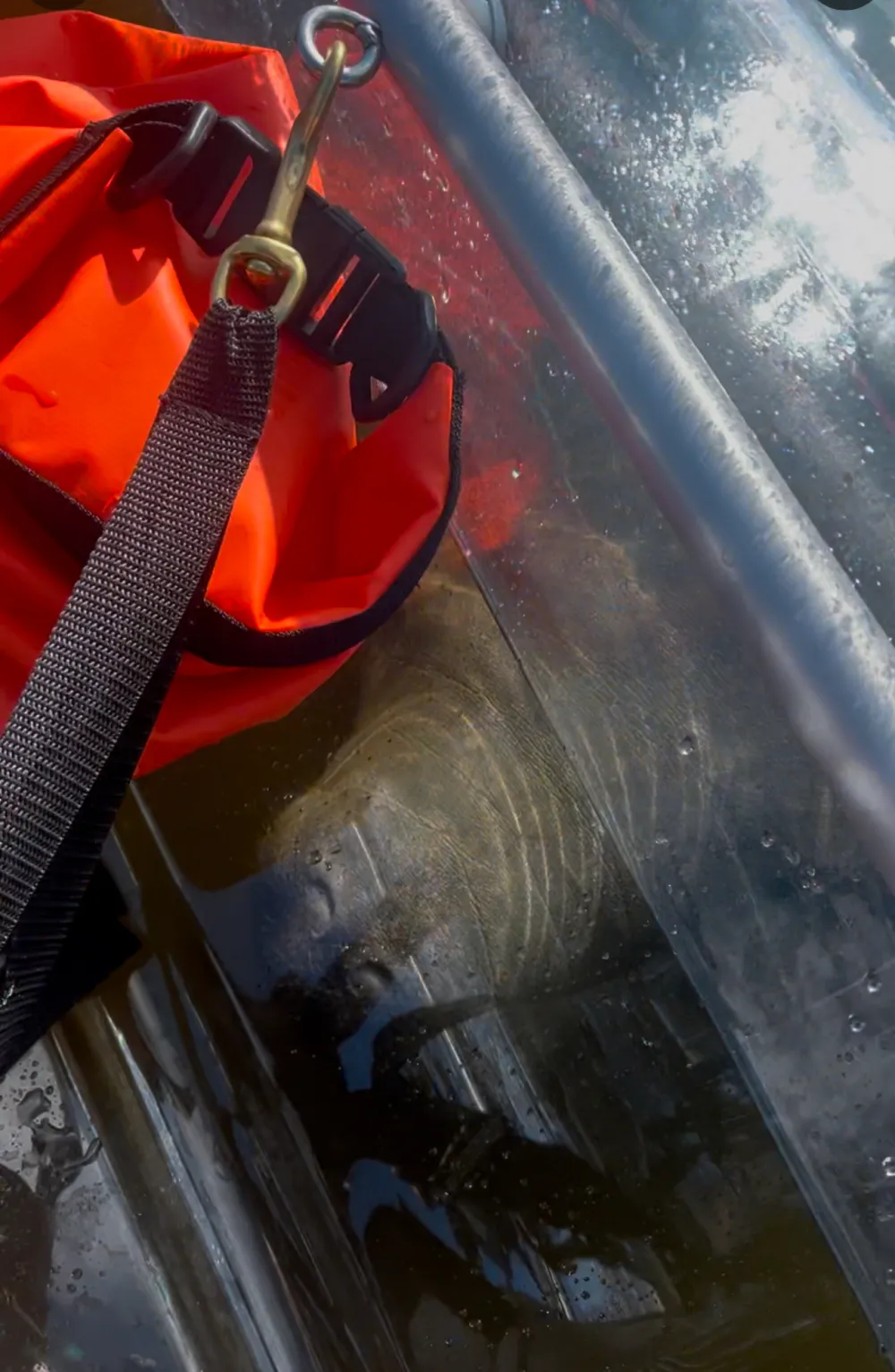 Red bag with black strap inside a transparent boat on water.