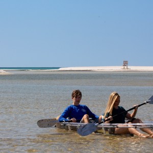 Two people kayaking on clear water near a sandy beach and blue sky.