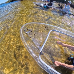 Clear kayaks on a sunny, shallow waterway with people paddling near a tree-lined shore.