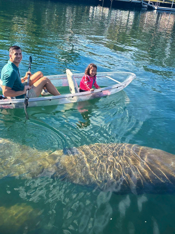 Two people in a clear kayak on water with a large manatee beneath them.