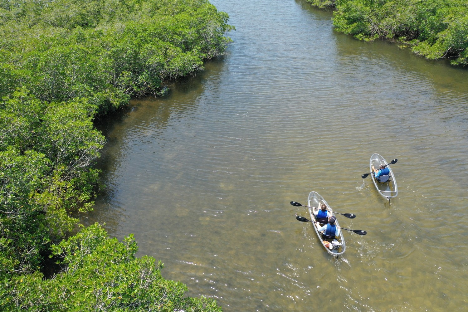Two transparent kayaks with people paddling in a narrow river surrounded by lush green foliage.