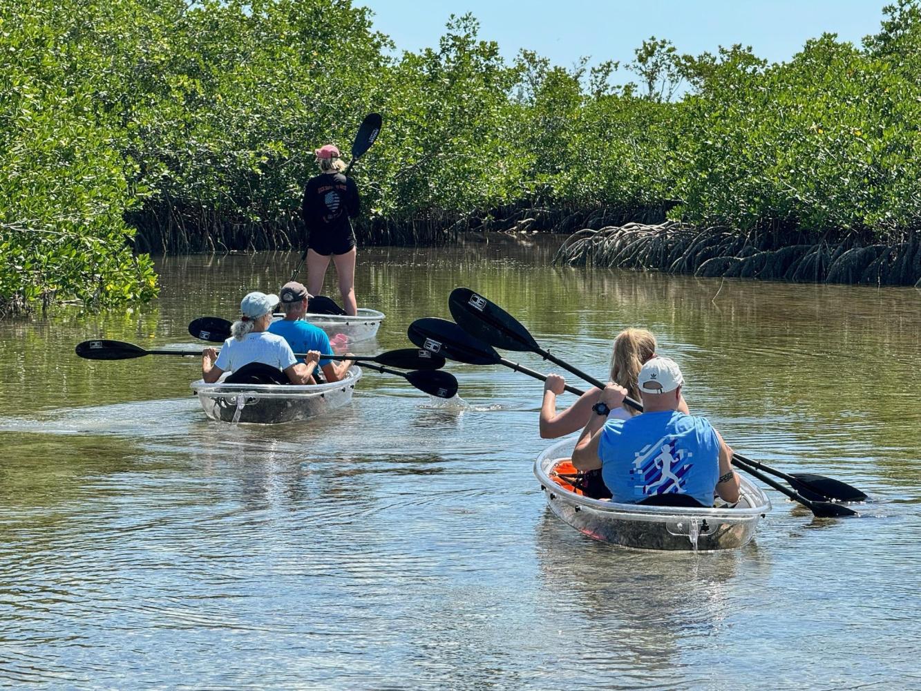 People kayaking through a narrow mangrove waterway in clear kayaks on a sunny day.