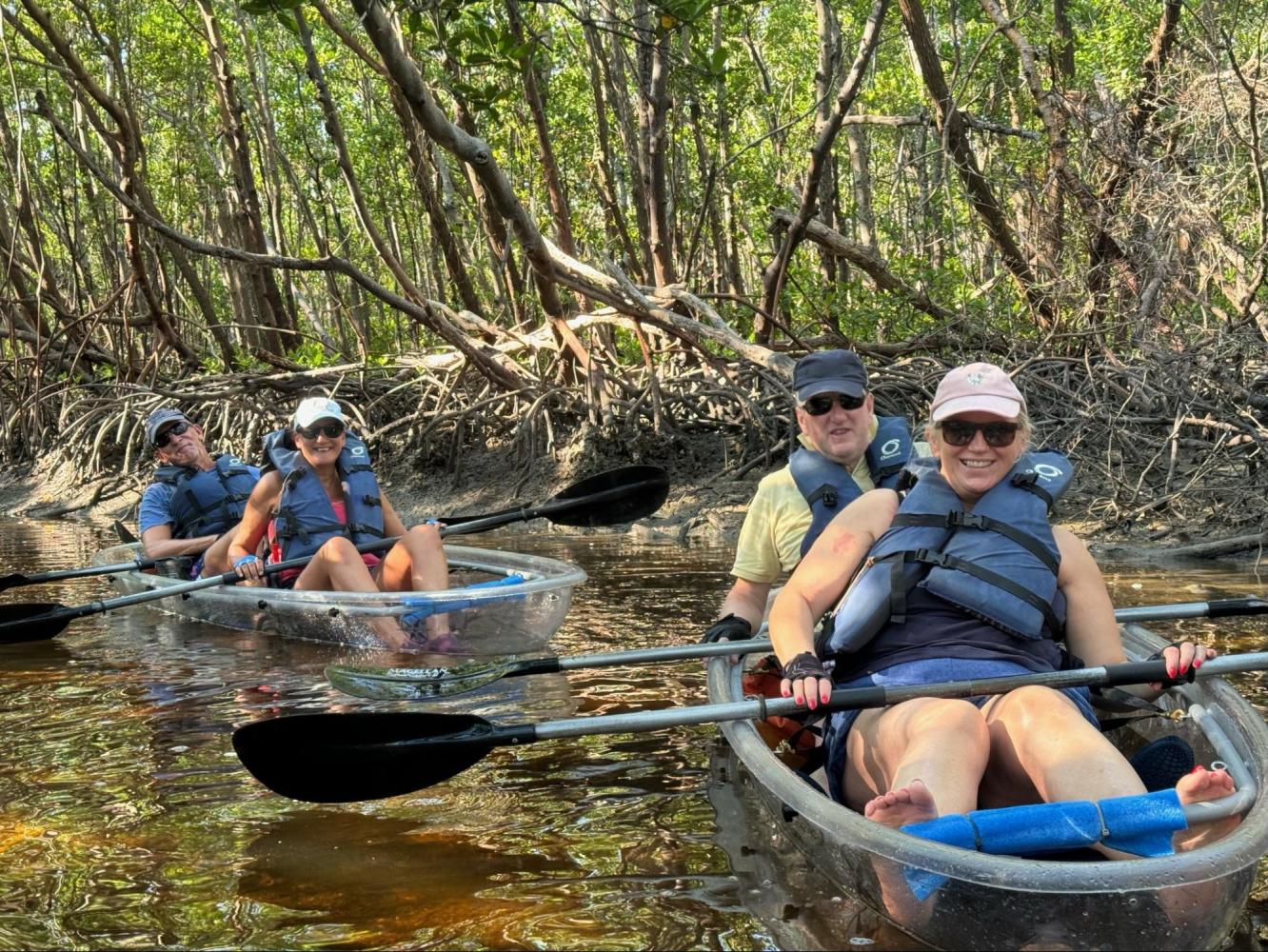 People in clear kayaks paddling through a mangrove forest.