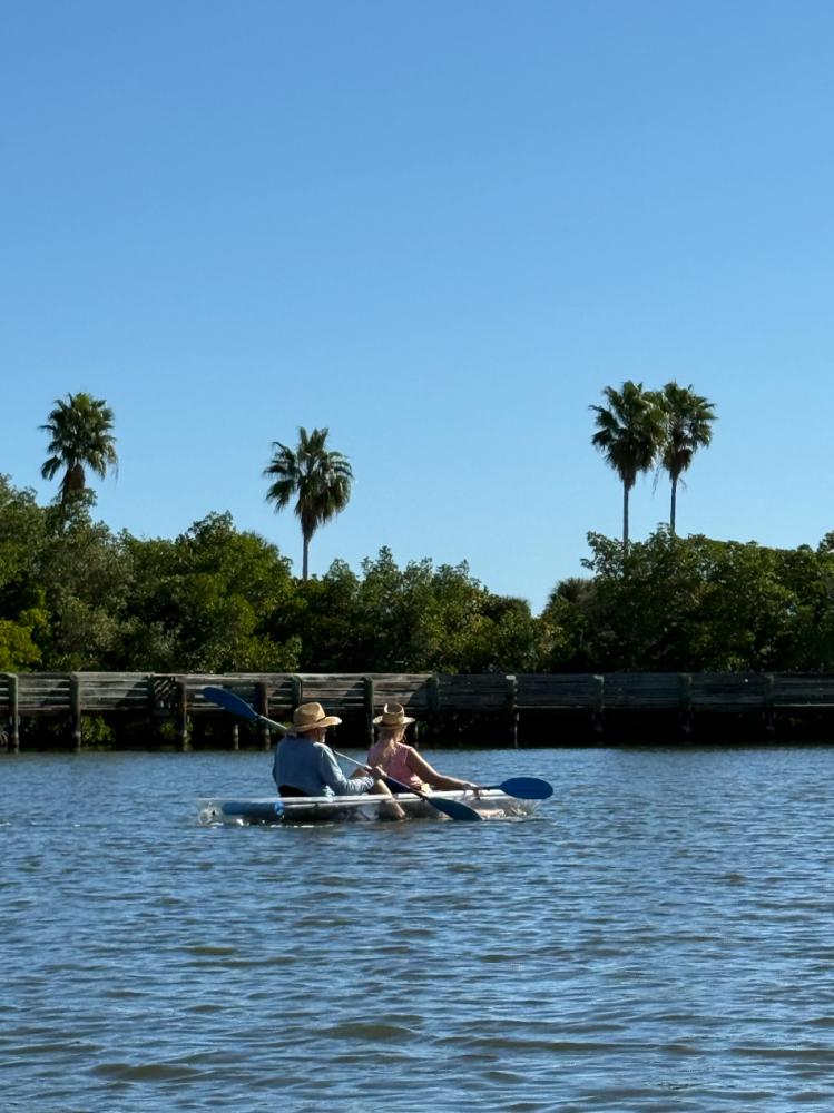 Two people kayaking on a lake with palm trees and a clear blue sky.