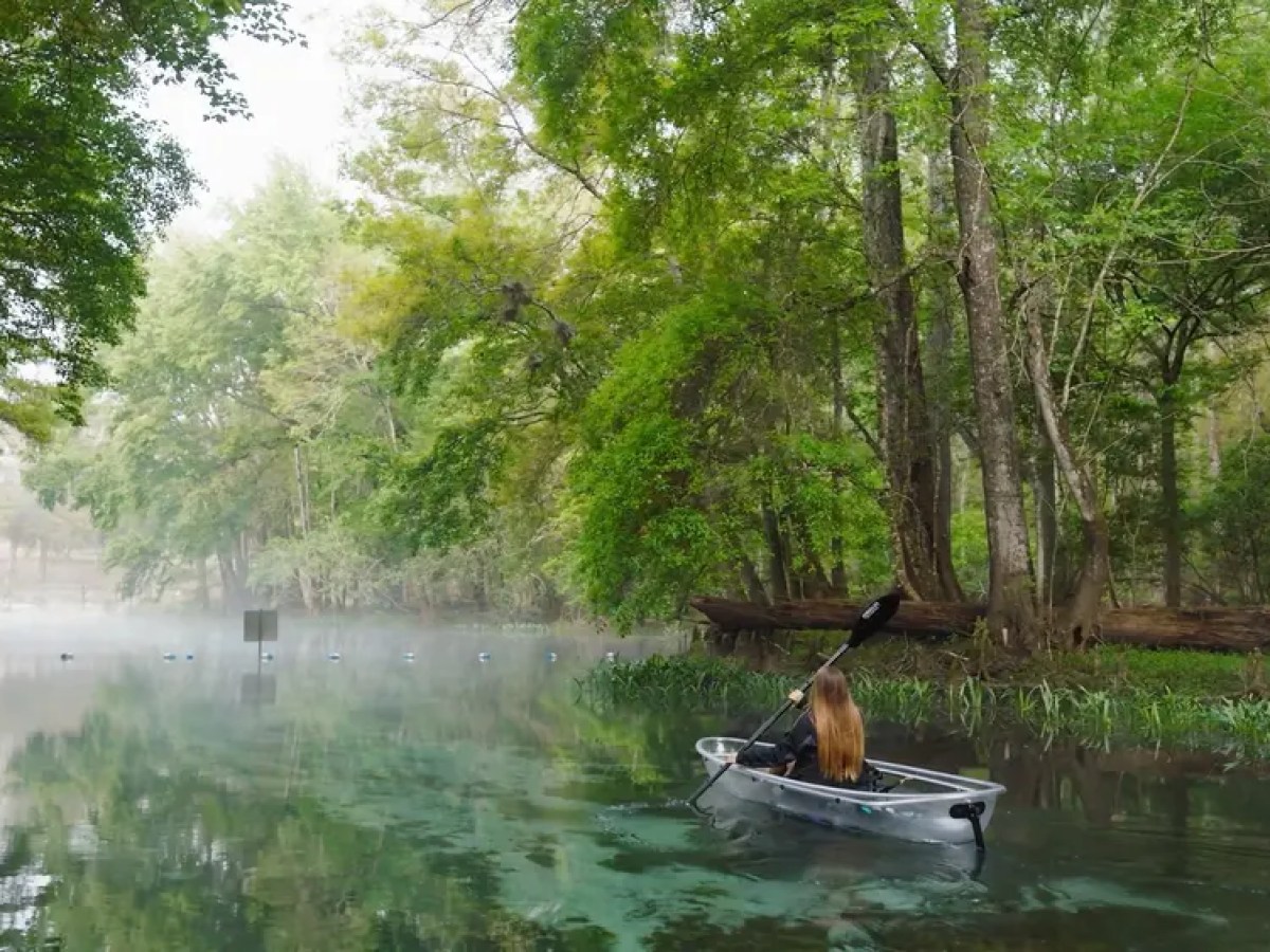 Person kayaking on a misty river surrounded by lush green trees.