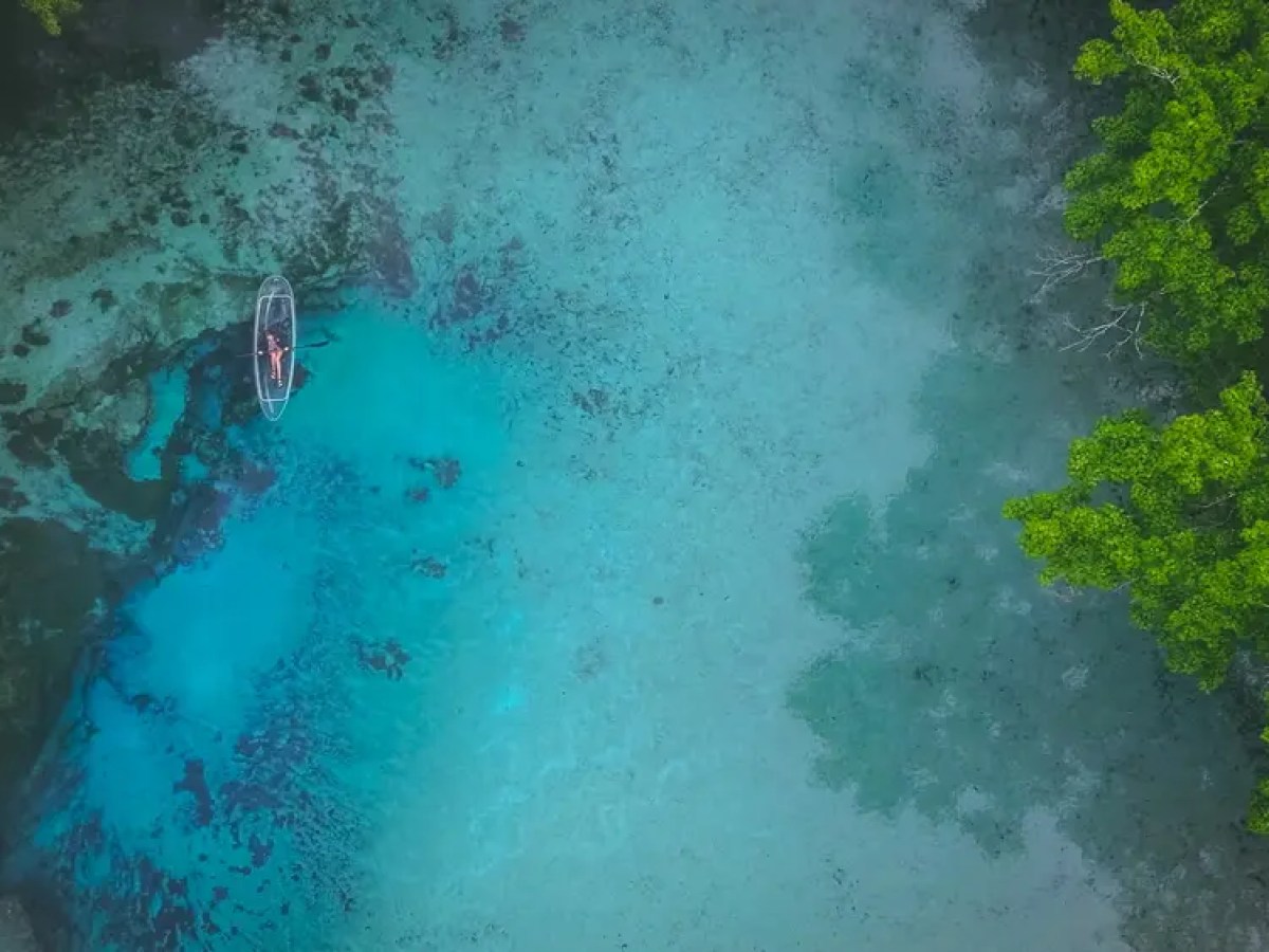 Aerial view of clear kayak on turquoise water near a lush green forest.