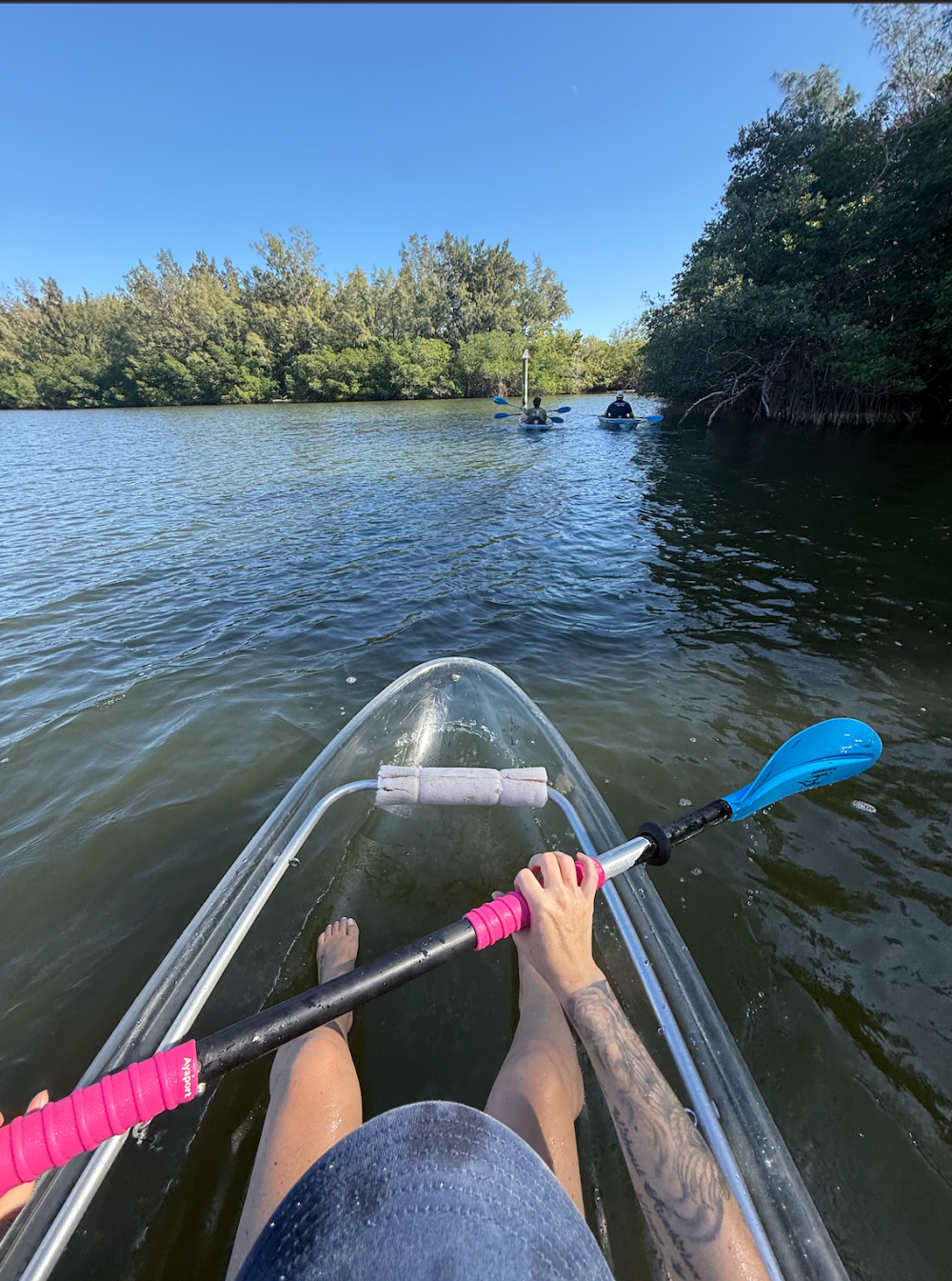 View from a clear kayak with a blue paddle on a calm river surrounded by trees.
