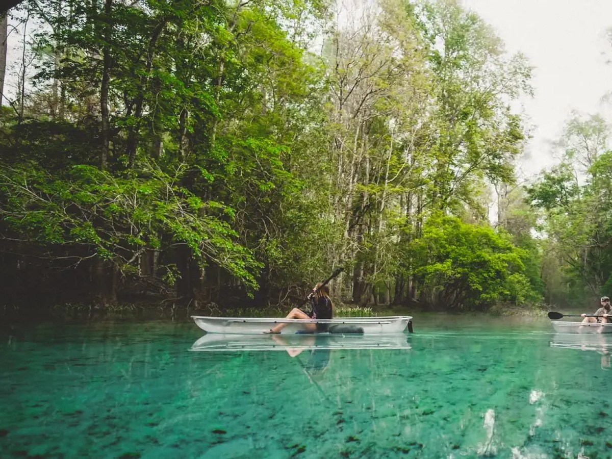Two people kayaking on a clear river surrounded by lush green trees.