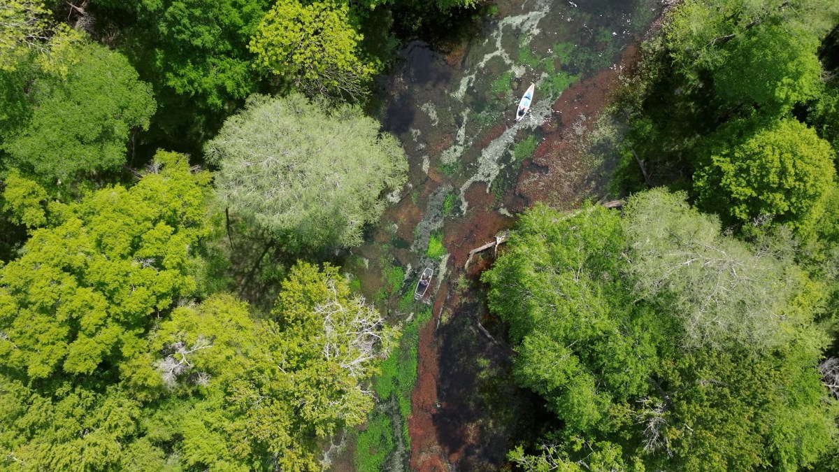 Aerial view of lush green forest and two small boats on a narrow river.