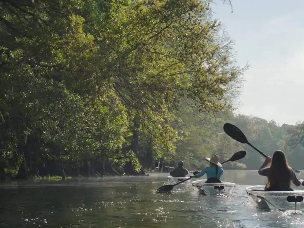 Three people kayaking on a calm river surrounded by lush greenery and trees.