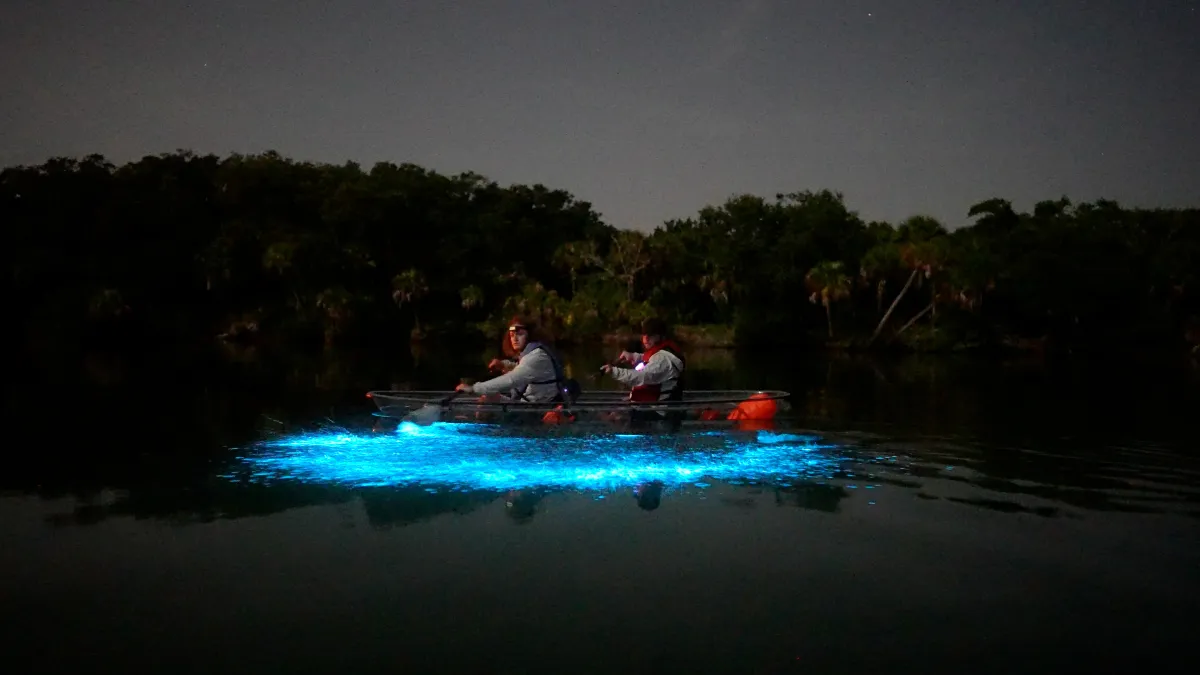 Two people kayaking on a river with blue bioluminescent water at night.