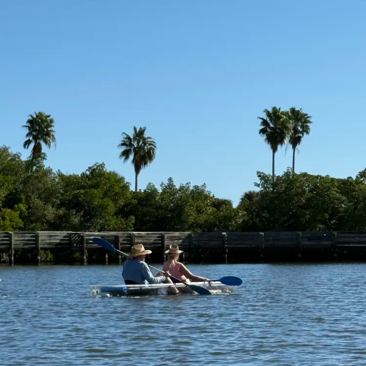 Two people kayaking on a sunny day with palm trees in the background.
