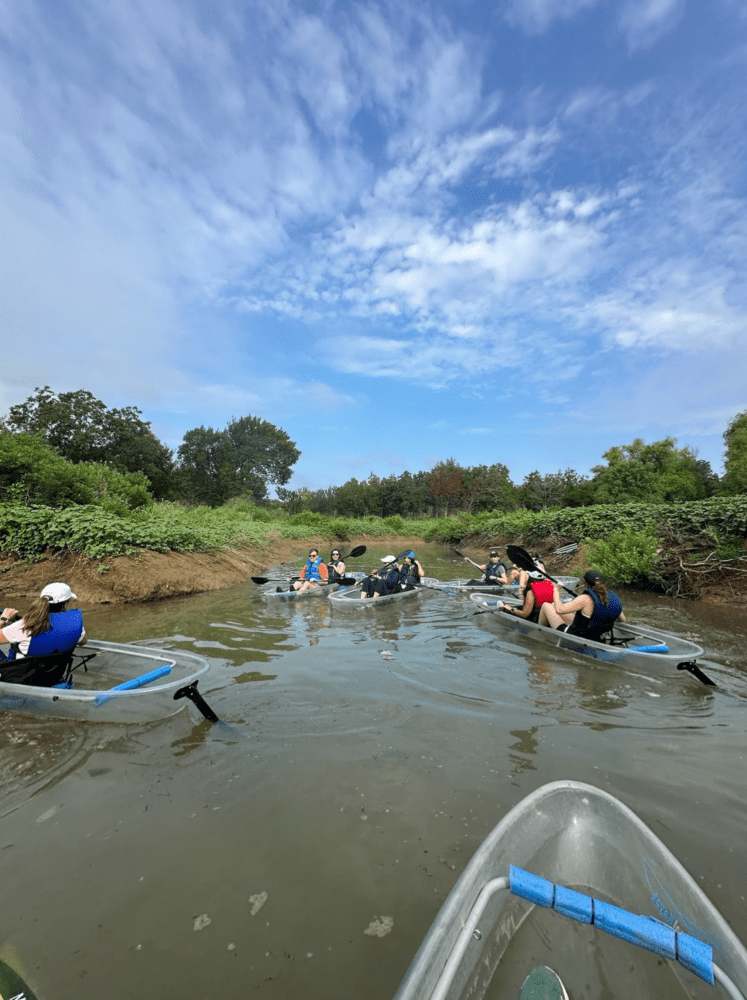 Group of people kayaking on a narrow river surrounded by green foliage.