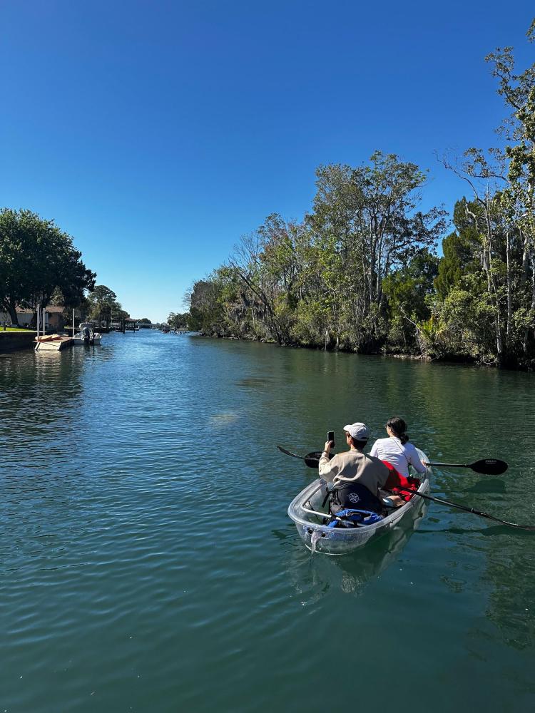 Two people kayaking on a clear river under a blue sky, surrounded by trees.