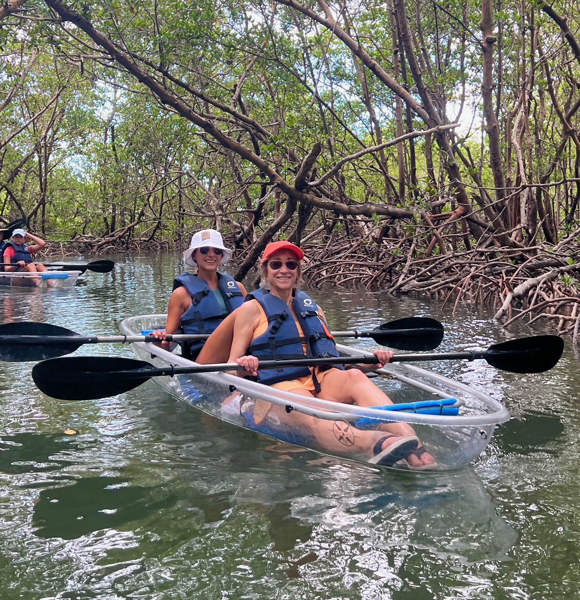 Two people kayaking in clear kayaks through a mangrove forest.