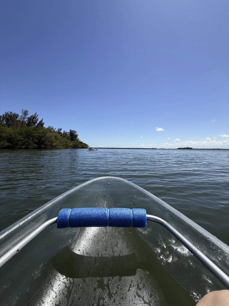 View from a kayak on a sunny lake with trees in the distance.