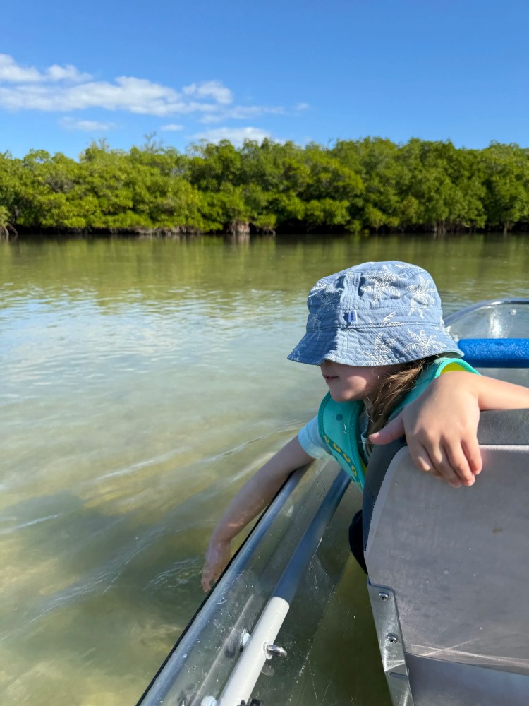 Child in a hat touches water from a boat in a mangrove swamp under a clear blue sky.