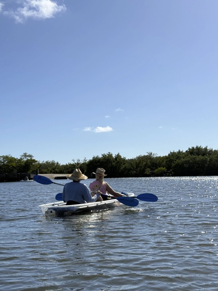 Two people kayaking on a calm lake under a clear blue sky.