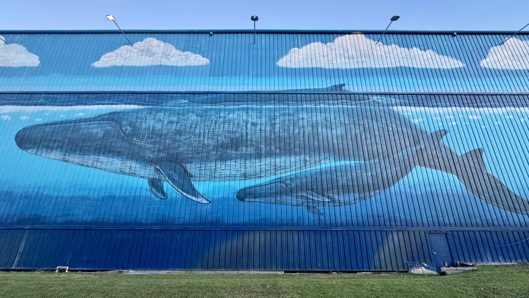 Wall mural of two whales underwater with clouds above.