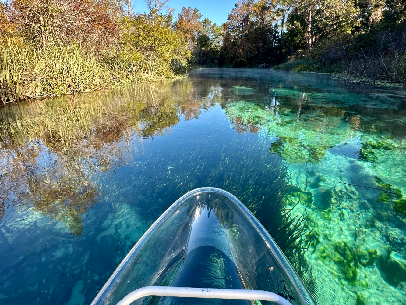 Clear kayak on a serene, transparent river surrounded by trees.
