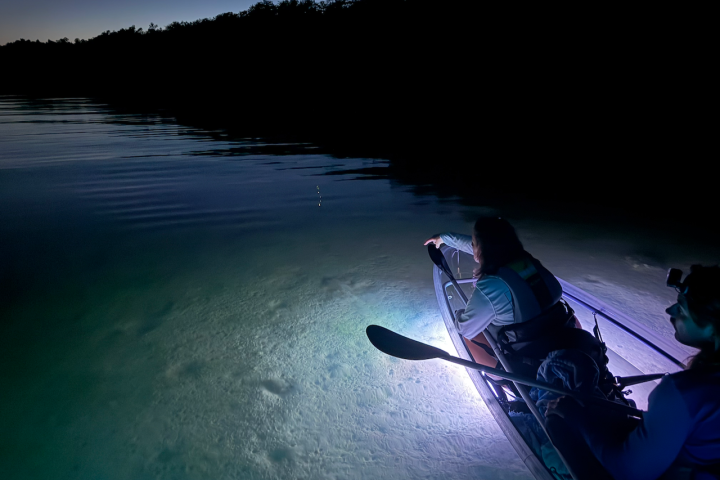 Two people in a kayak at night, using lights to illuminate the water.