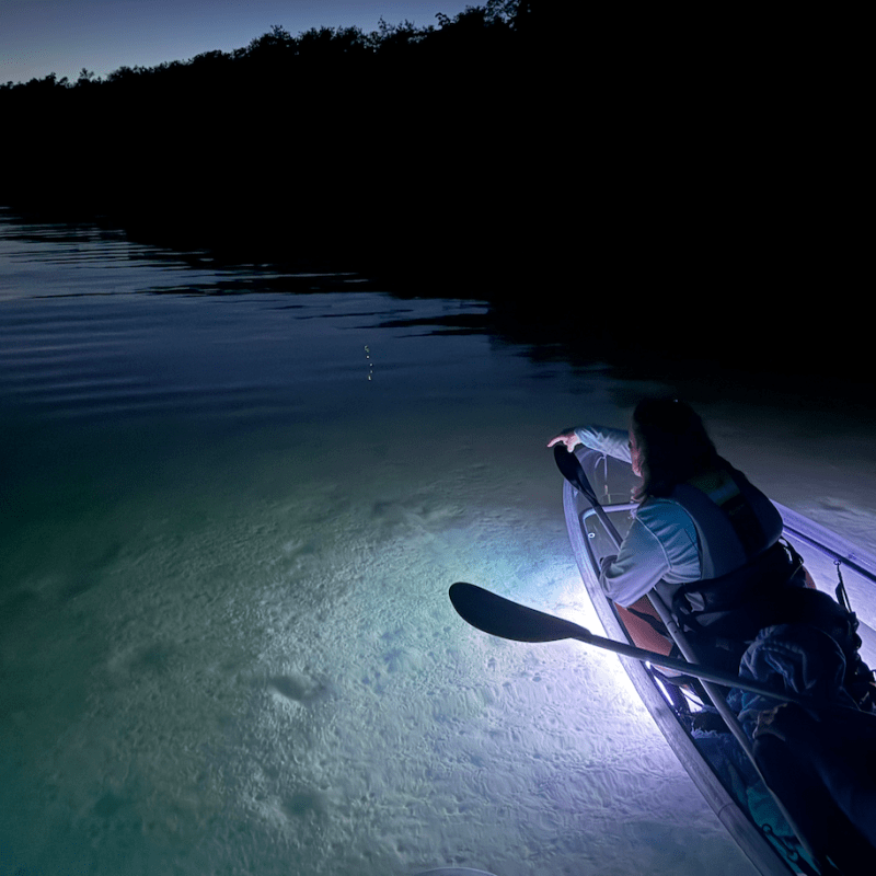 Two people in a kayak at night, using lights to illuminate the water.