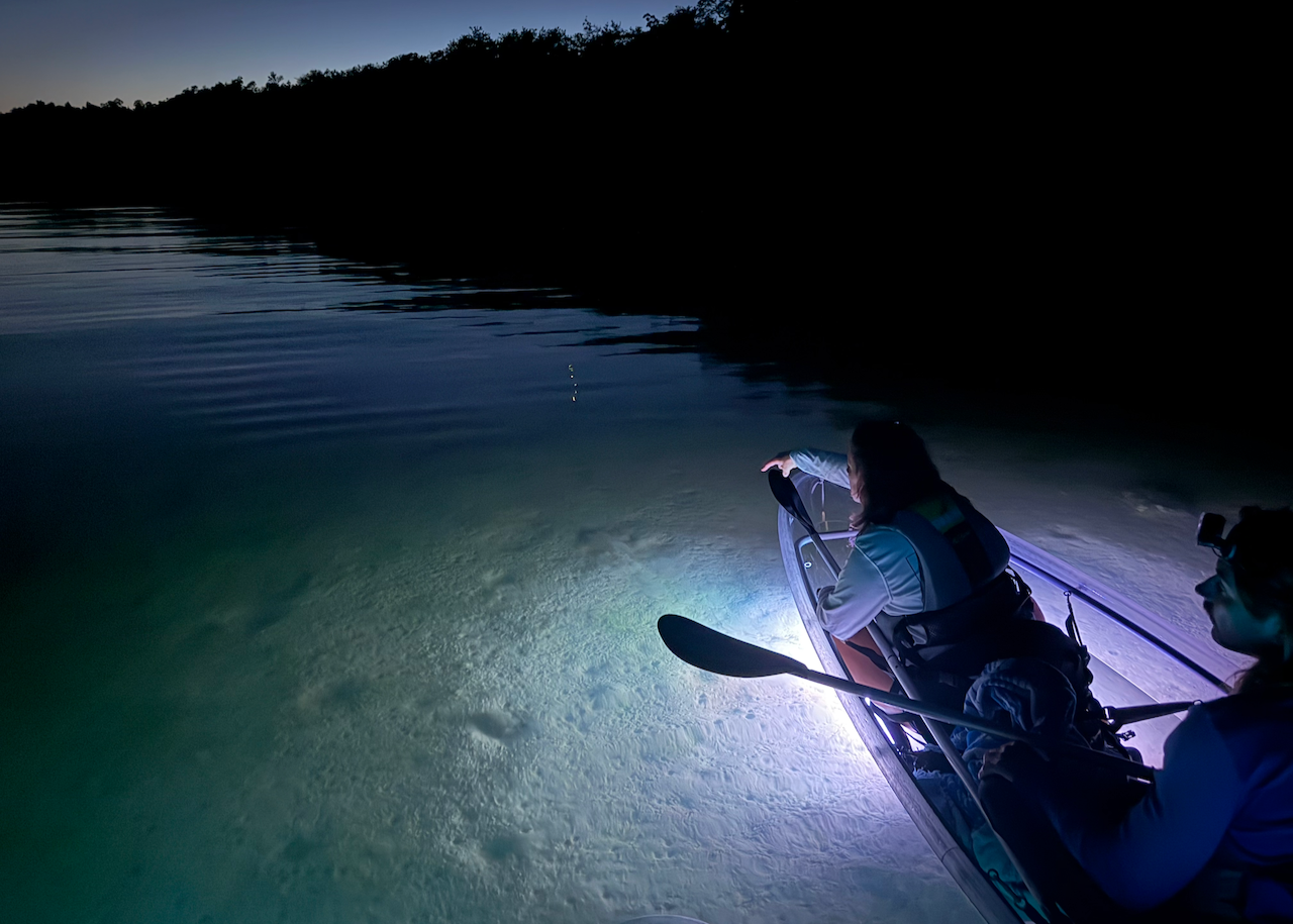 Two people in a kayak at night, using lights to illuminate the water.