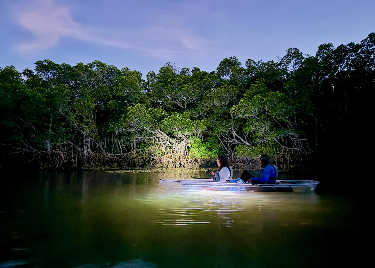 Clearwater Kayak Tours | Get Up And Go Kayaking - Cooper's Bayou