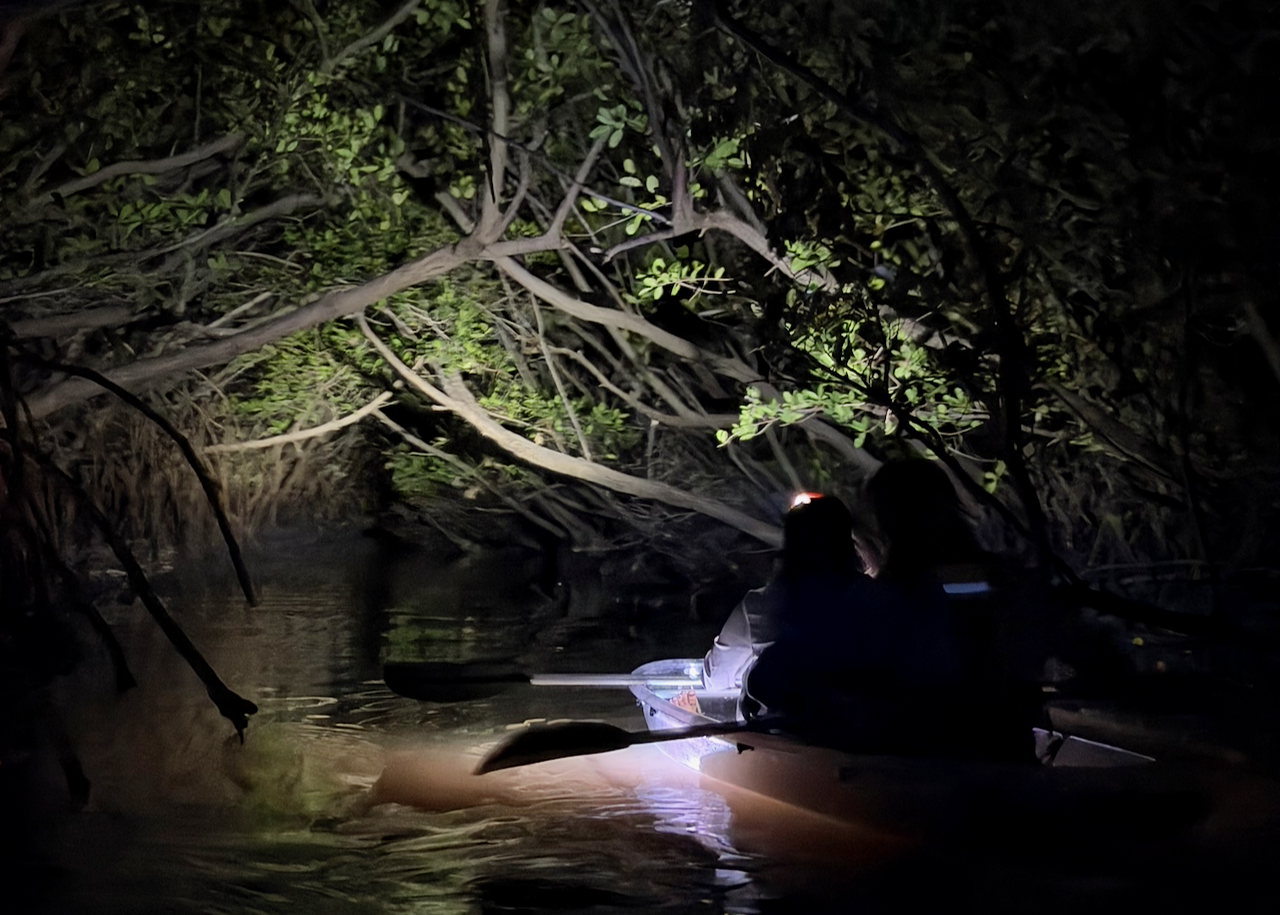 Silhouetted people kayaking under illuminated mangrove branches at night.